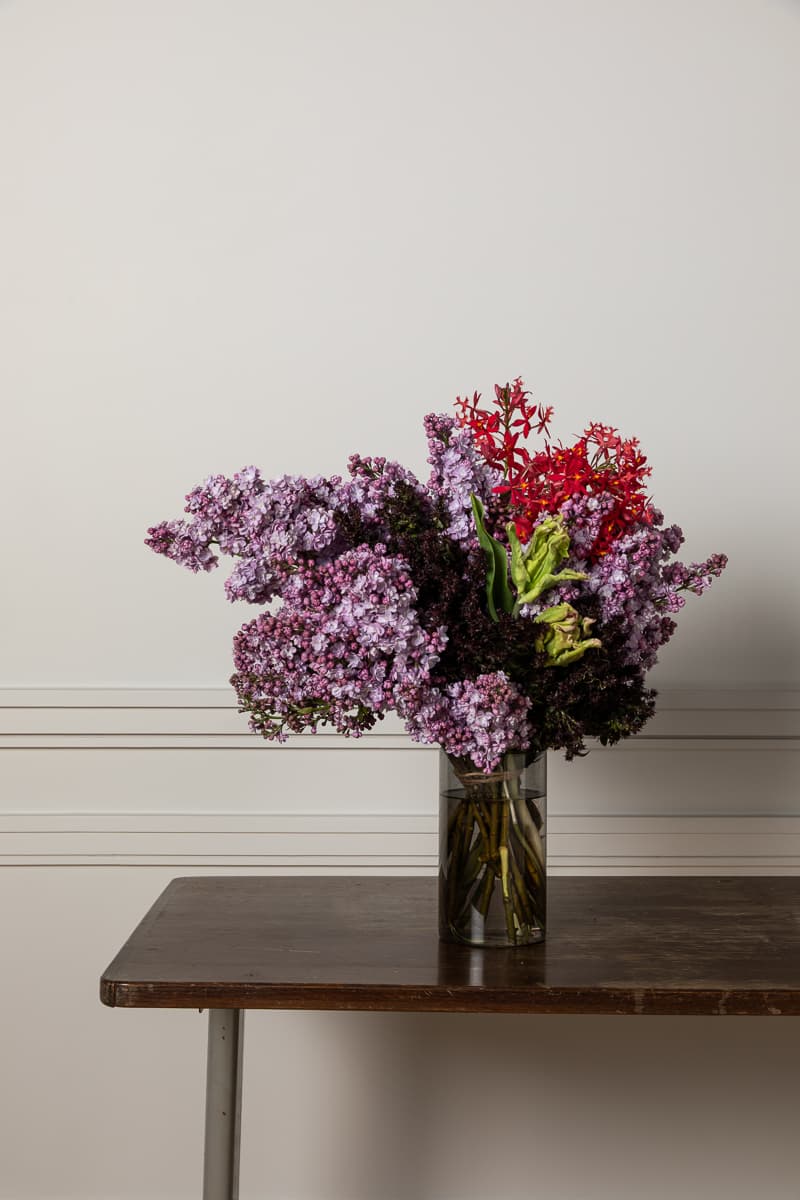 Orchidees vanda dans vase vermillon