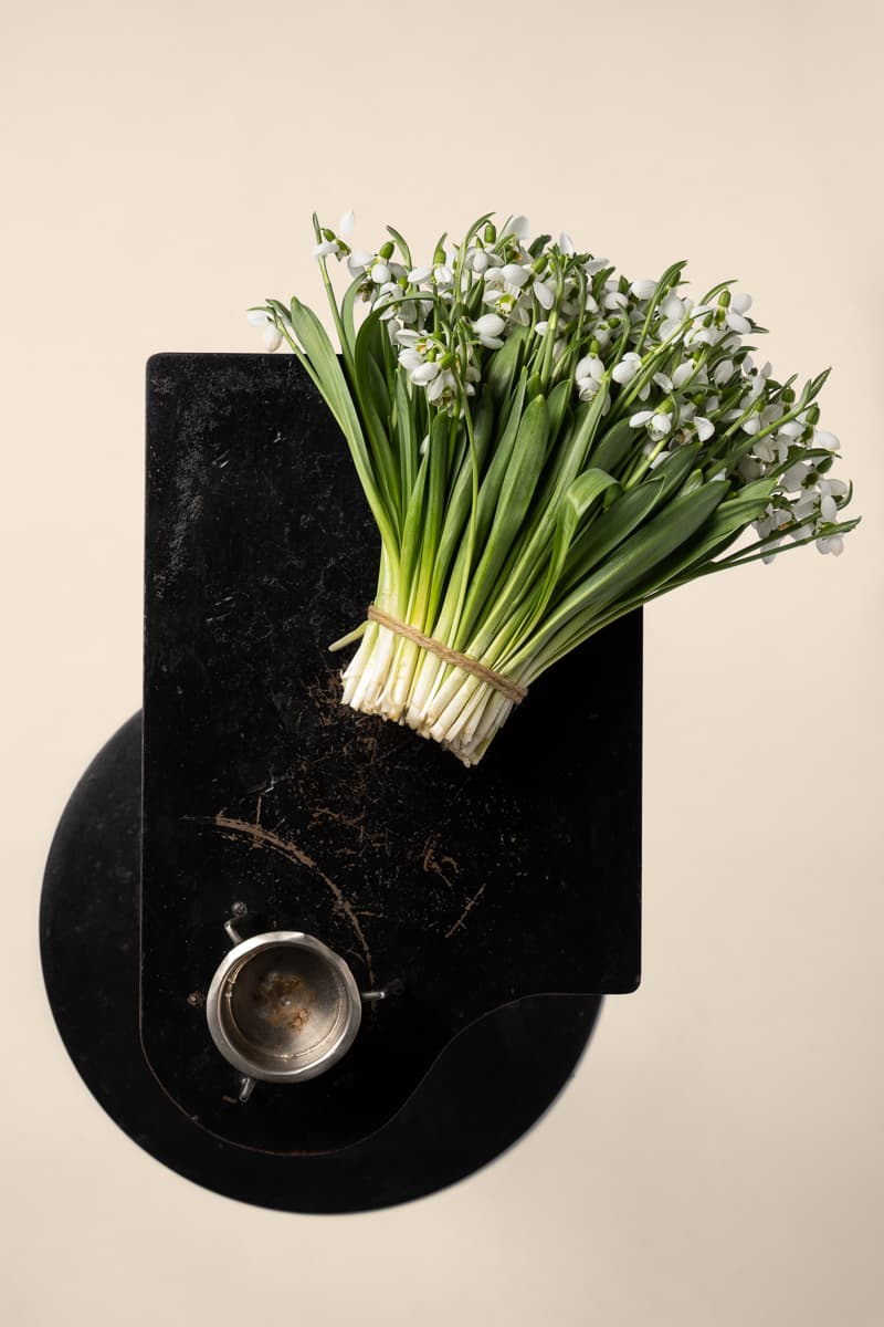 Vanda sauvages sur tabouret en bois